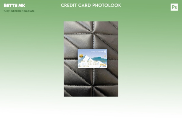 модерен стил Норвешка Luster Sparebank виза електронска картичка photolook преде